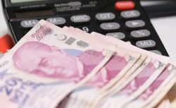 E-Devlet’ten TC Kimlikle Başvuranlara 24 Bin TL’ye Kadar Karşılıksız Destek